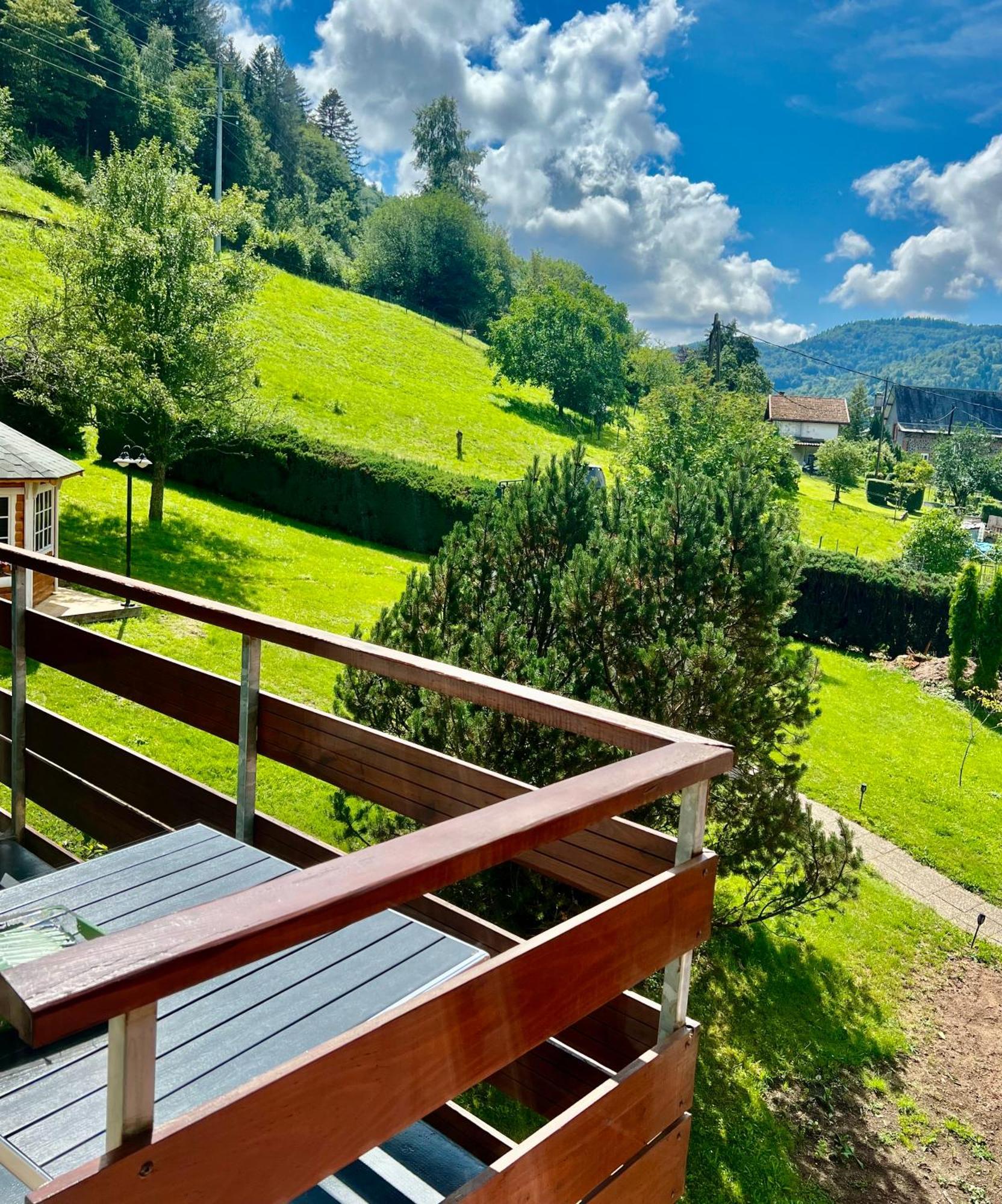 Logis Hotel, Chalets Et Restaurant Les Chatelmines La Bresse Eksteriør billede