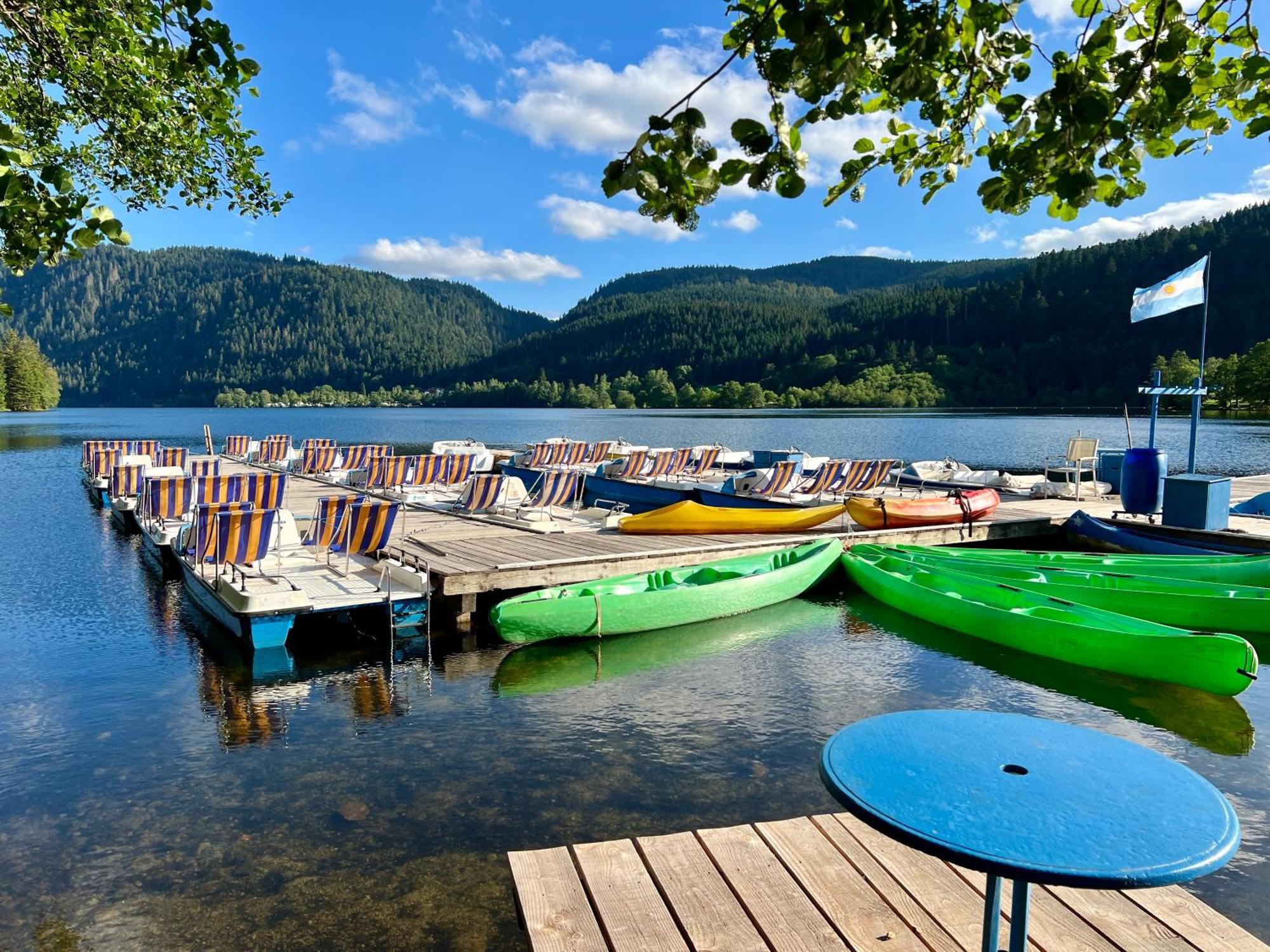 Logis Hotel, Chalets Et Restaurant Les Chatelmines La Bresse Eksteriør billede