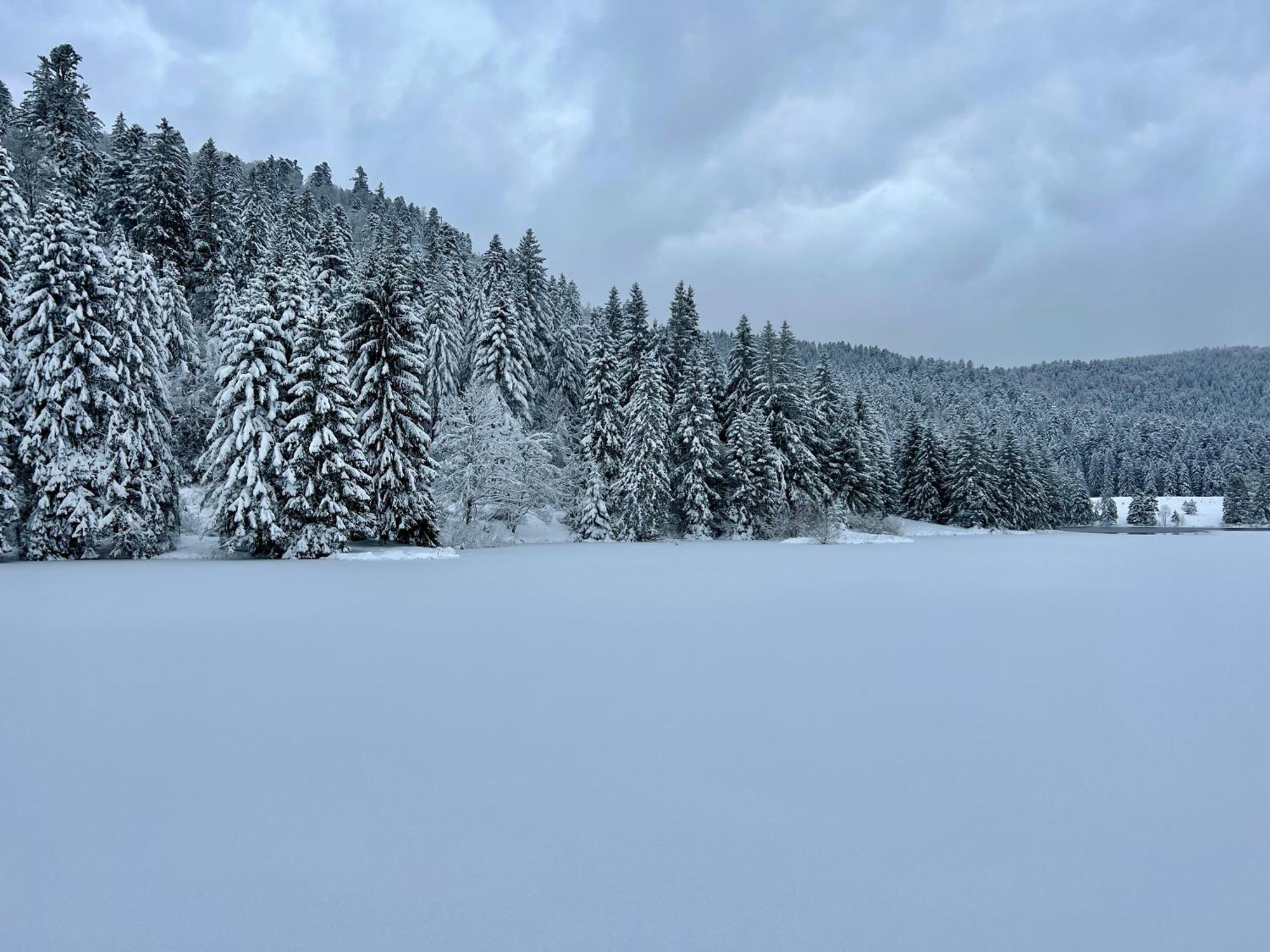 Logis Hotel, Chalets Et Restaurant Les Chatelmines La Bresse Eksteriør billede