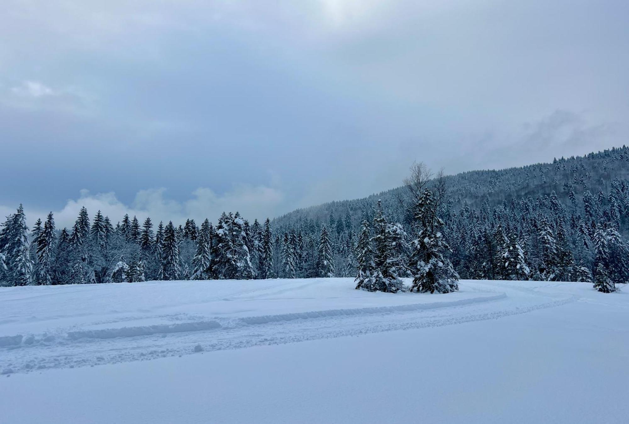 Logis Hotel, Chalets Et Restaurant Les Chatelmines La Bresse Eksteriør billede